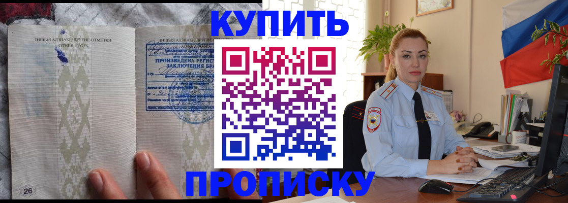 прописка поиск в Бердске